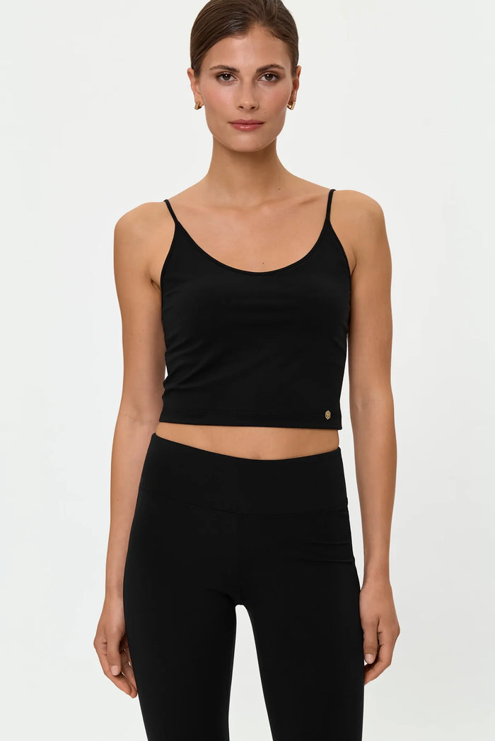 FOX Top