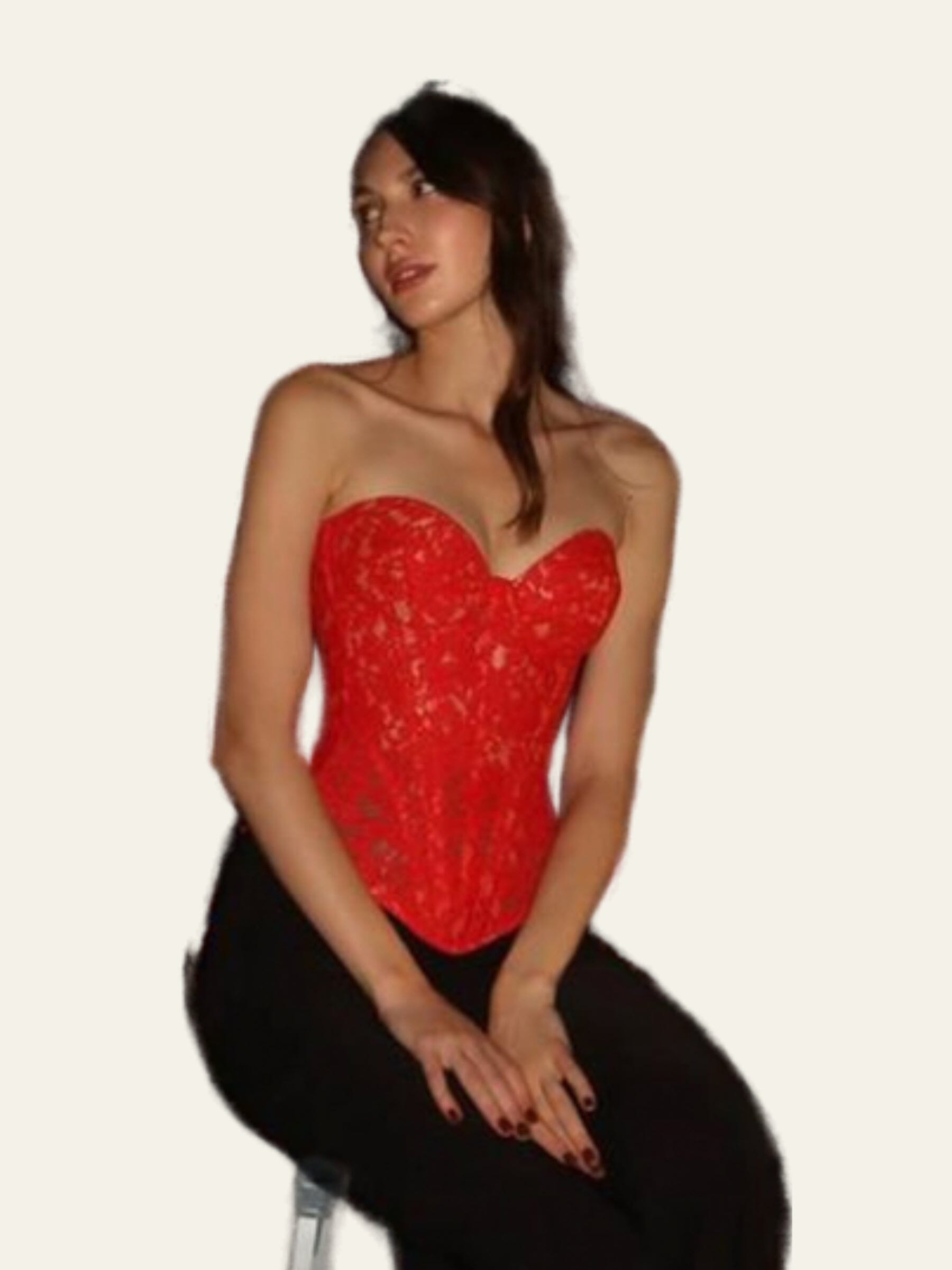 Erika Lace Corset
