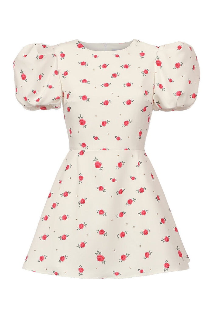 Mini Dress with Lantern Sleeves