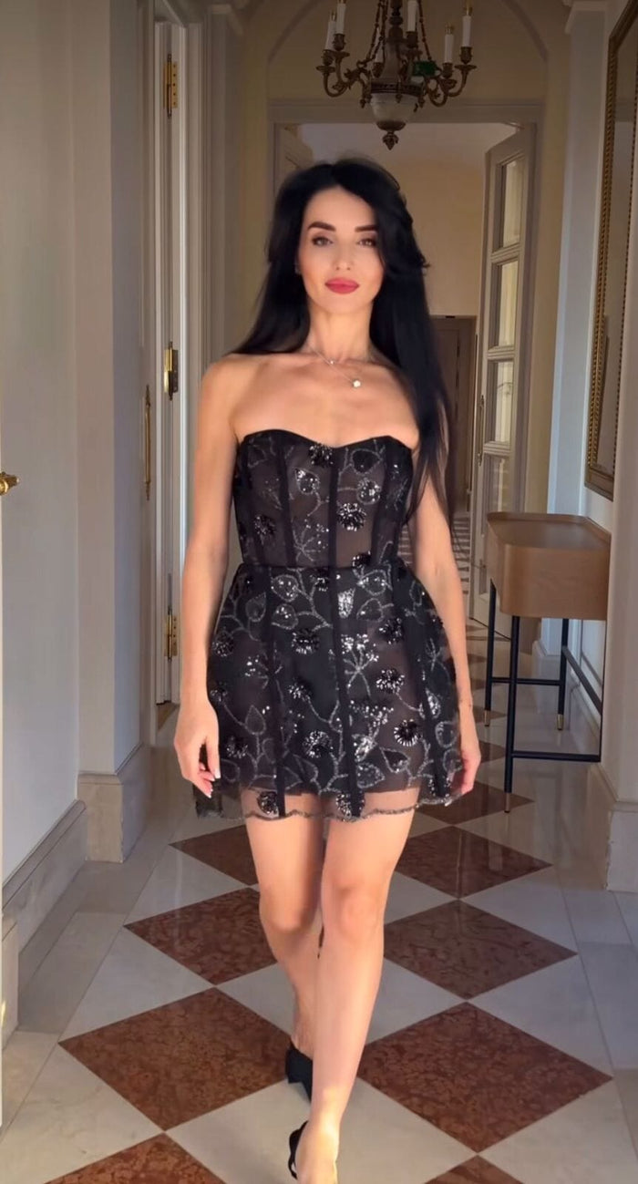 Embroidered Net Corset Dress