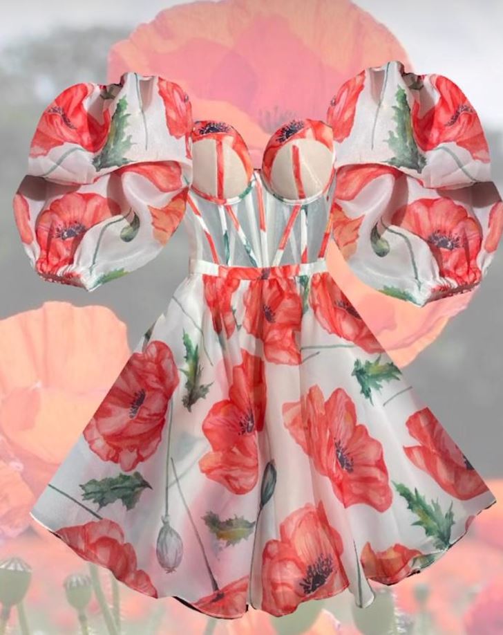 Erika Poppies Mini Dress w/ Sleeves