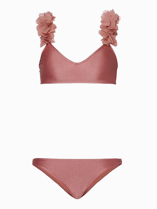 Aisha Shiny Rose - Tk X La Reveche